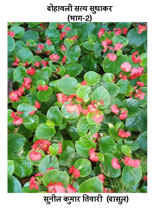 Title details for दोहावली सत्य सुधाकर (भाग-2) by Sunil Tewary - Available